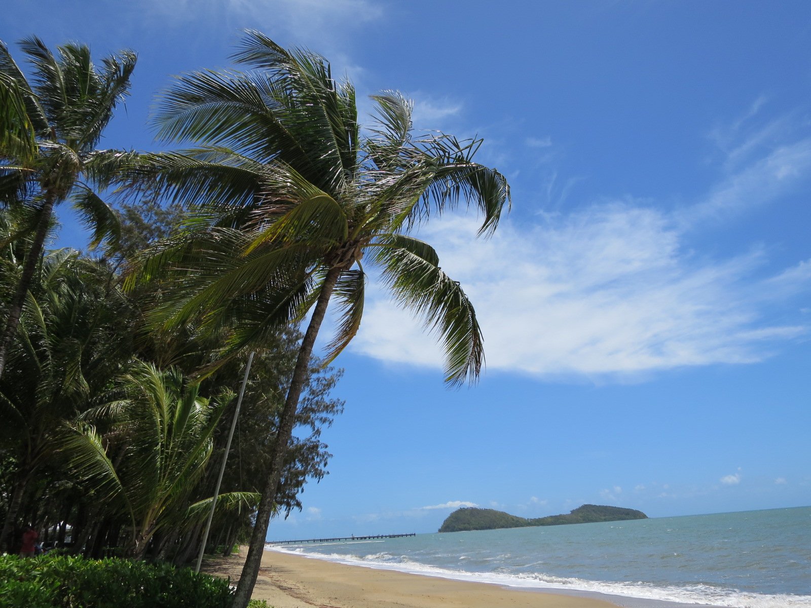 Palm Cove