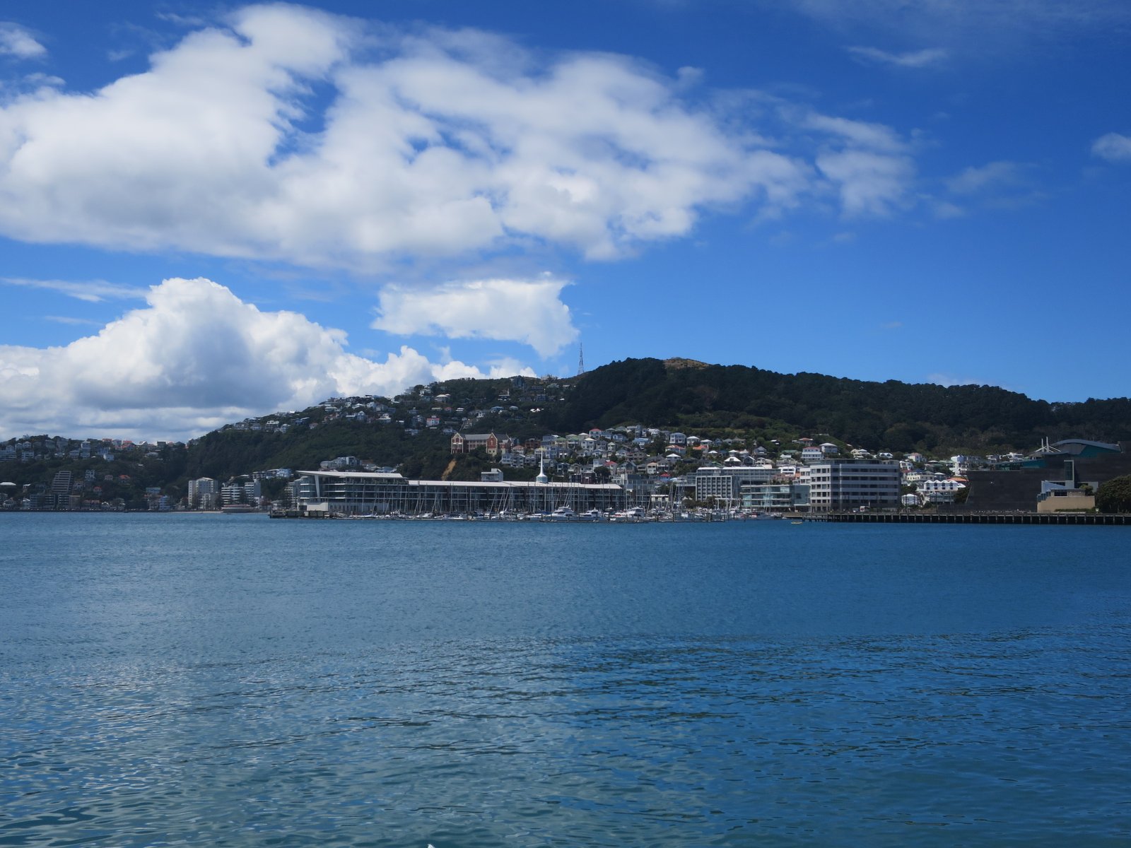 Wellington