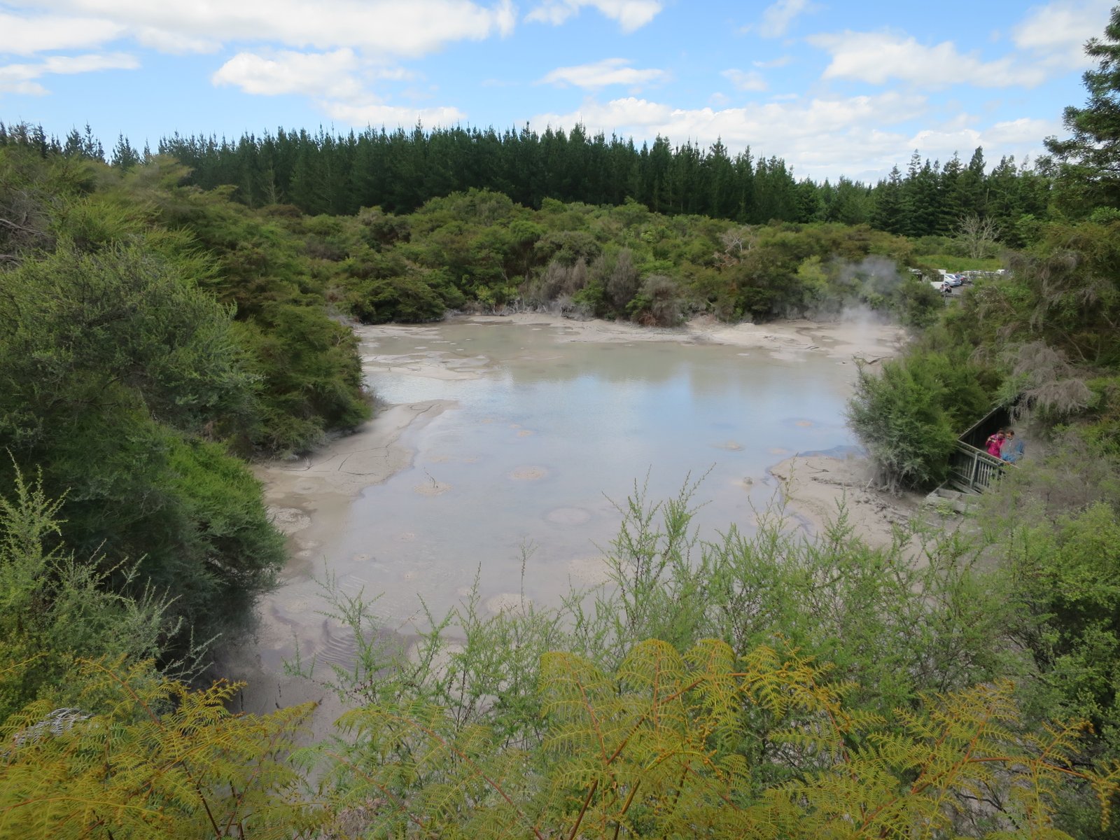 Wai-O-Tapu Geothermal Wonderland